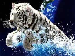 upload_2017-7-2_20-13-23.webp