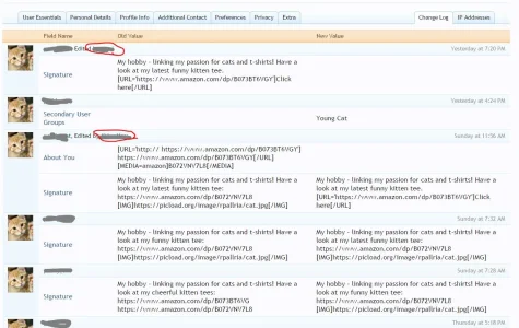 Capture.webp