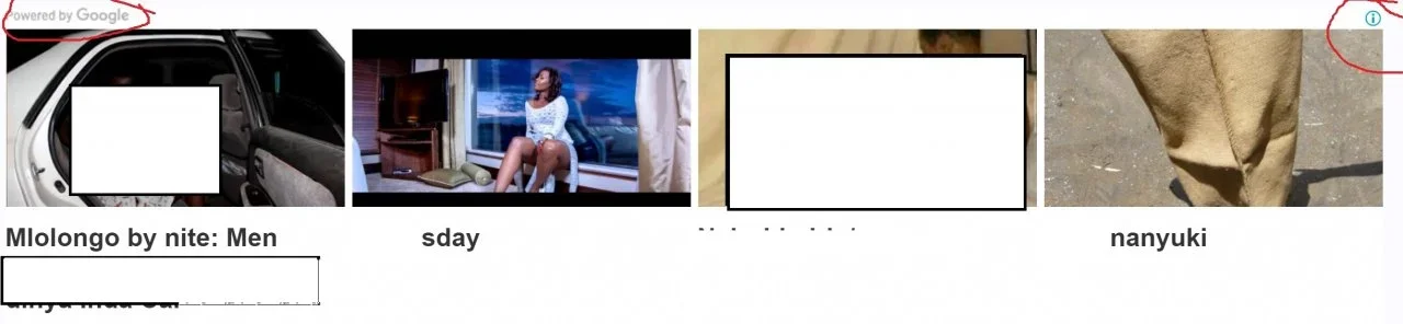 Google on Xenforo Posts.webp