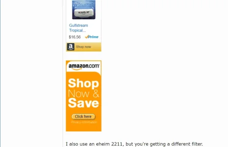 amazon embed.webp