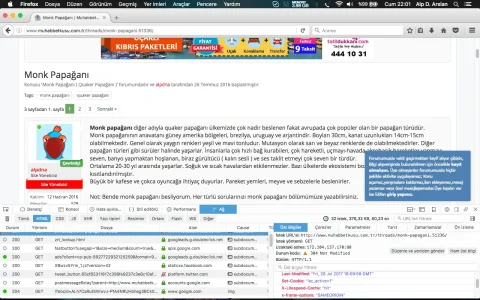 Ekran Resmi 2017-07-28 22.01.39.webp