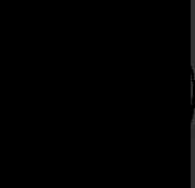 bug1.webp