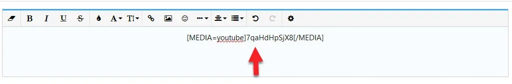 videocenter2.webp