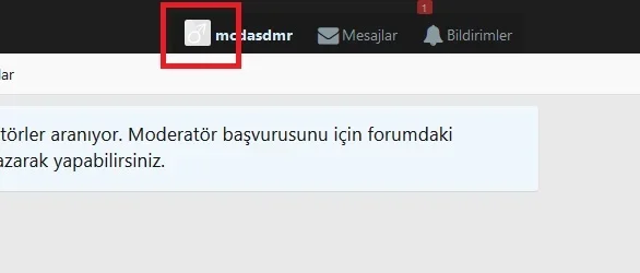 1.webp