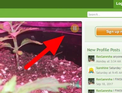 FreeCannabis.com   Cannabis Growing Forum   Cannabis   Marijuana Discussion Forums.webp