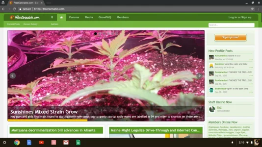 Screenshot 2017-09-28 at 2.10.27 PM.webp