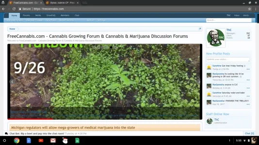 Screenshot 2017-09-29 at 5.55.09 PM.webp