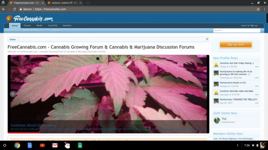 Screenshot 2017-09-29 at 7.26.53 PM.webp