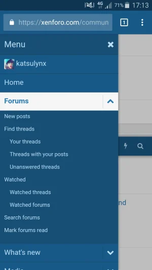 Screenshot_2017-10-04-17-13-59.webp