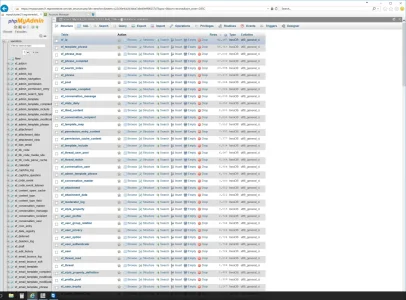 rows.webp