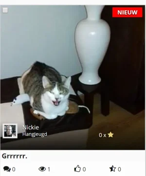 1507569410459.webp