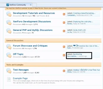 bug1.webp