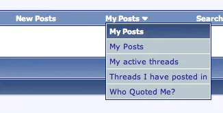 myposts.webp