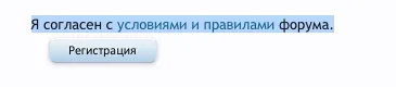 display.webp