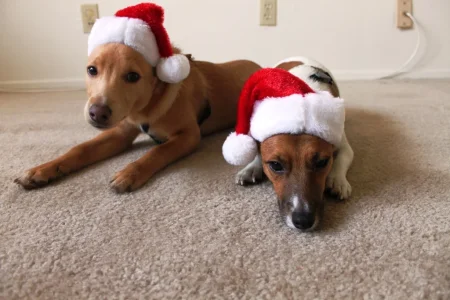 Christmas (6).webp