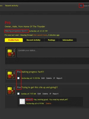 5.webp
