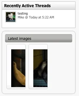 thumbs.webp