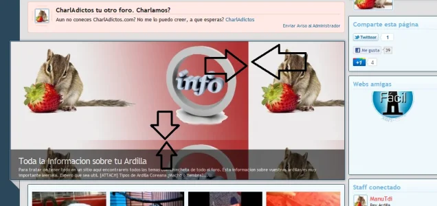 Sin título.webp