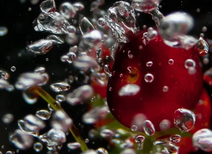 Cherry.webp
