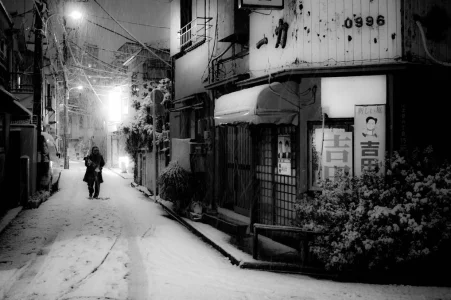 Tokyo snow.webp