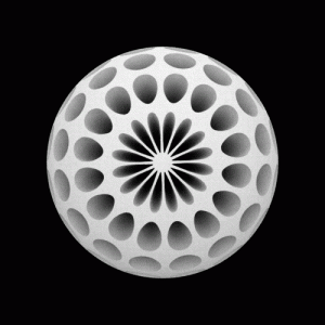 Animated-GIFs-davidope-20.gif