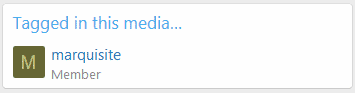 Xenforo-2-XFMG-Tagging-for-Video-and-Embedded-Media.gif