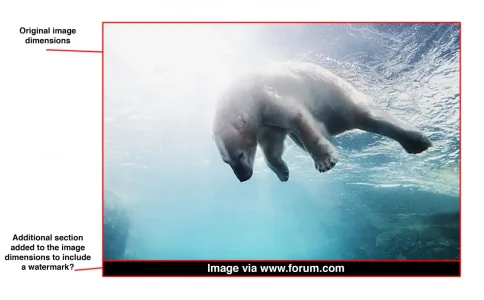 info-tabs3.webp