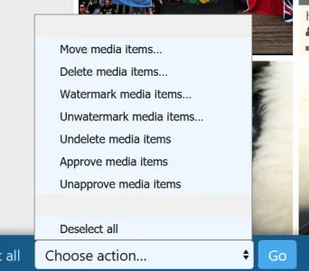 Screenshot_2.webp