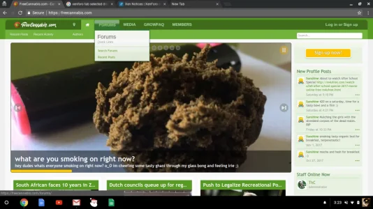 Screenshot 2017-11-08 at 3.23.06 PM.webp