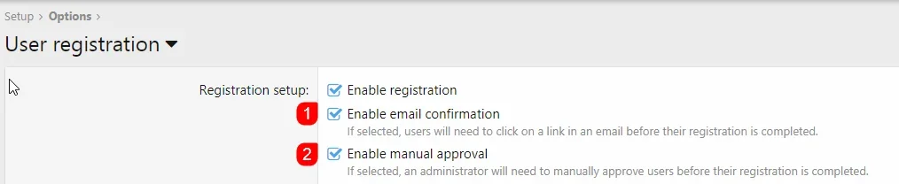 email-confirmation.webp
