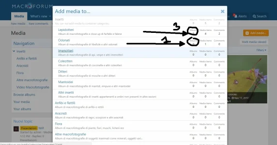album_count.webp