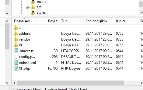 cats.webp