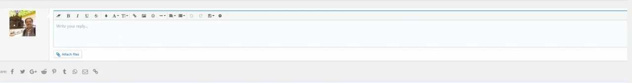 IE11.webp