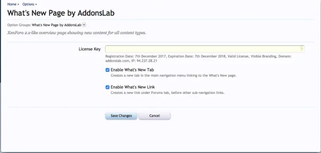 Options Page.webp