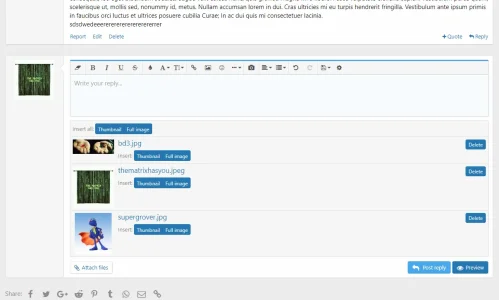 attachments in quick reply.webp
