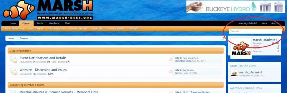 marsh-dev.webp