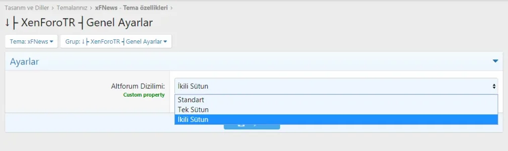 Tema-ozellikleri-genel-ayarlar.webp