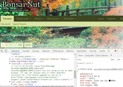 defc04a20c21463bc58c070b18e9a410.webp