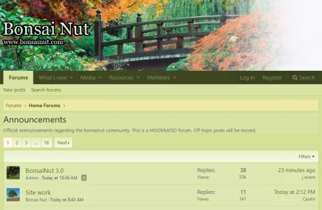 bonsai_sample.webp