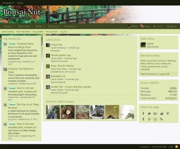 screenshot-www.bonsainut.com-2018-01-19-20-23-01.webp