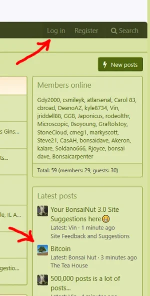 screenshot-www.bonsainut.com-2018-01-22-17-55-20.webp