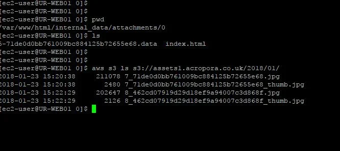Capture1.webp