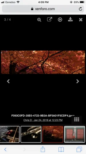 977776F2-91A8-49B5-A6A9-F1CAE4ECF1D9.webp