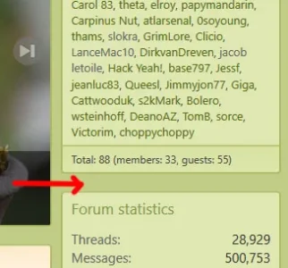 screenshot-www.bonsainut.com-2018-01-25-08-26-22.webp