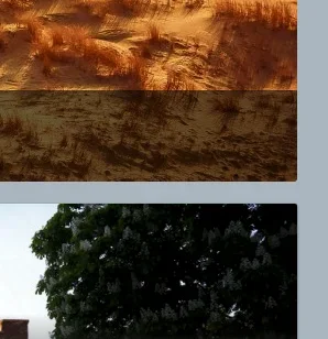 Screenshot at февр. 10 20-14-25.webp