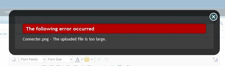 bug.webp