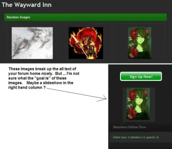 random.images.slideshow.better.waywardinn.webp