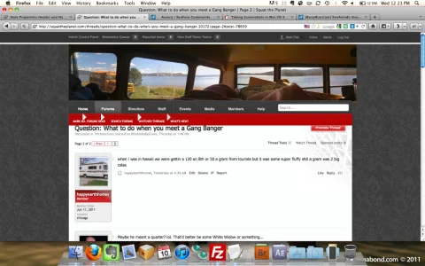 Screen shot 2011-08-10 at 12.23.48 PM.webp