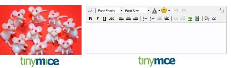 tinymice.vs.tinyMCE.webp