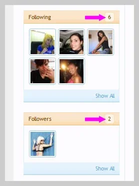 following_followers_count_wrong.webp